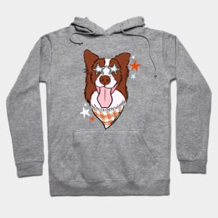 Star Dog Hoodie